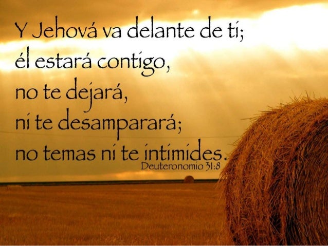 vanidad significado biblico los misericodiosos vanidad significado biblico los misericodiosos