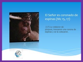 El Señor es coronado de
espinas (Mc 15, 17)
[17] Lo vistieron de
púrpura, trenzaron una corona de
espinas y se la colocaron.

 