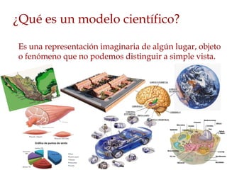 ¿Qué es un modelo científico?

Es una representación imaginaria de algún lugar, objeto
o fenómeno que no podemos distinguir a simple vista.
 