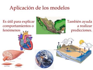 Aplicación de los modelos

Es útil para explicar      También ayuda
comportamientos o               a realizar
fenómenos                    predicciones.
 