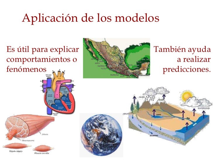 Los modelos