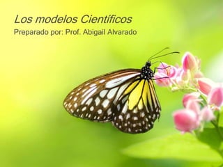 Los modelos Científicos
Preparado por: Prof. Abigail Alvarado
 