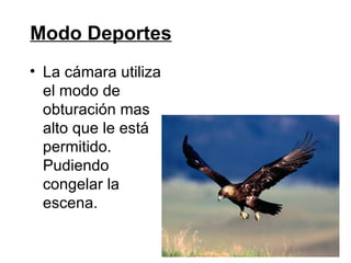 Modo Deportes
• La cámara utiliza
  el modo de
  obturación mas
  alto que le está
  permitido.
  Pudiendo
  congelar la
  escena.
 