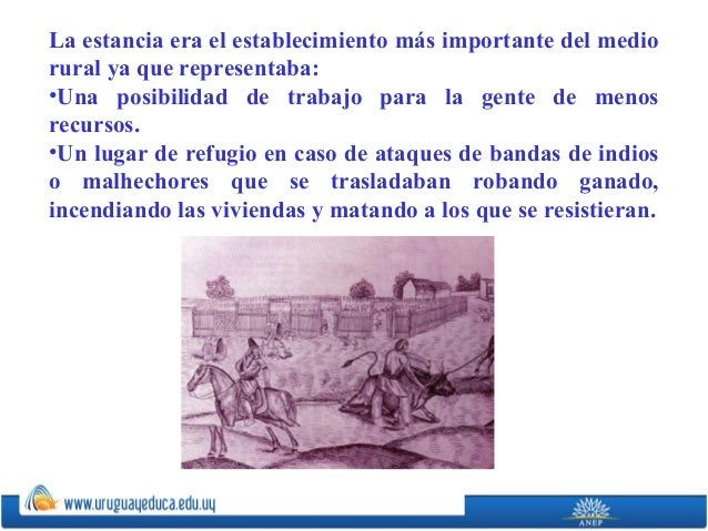 Los parásitos en el organismo de la persona toksokary