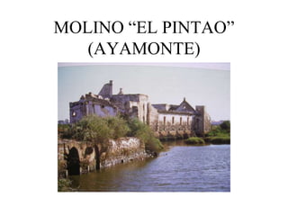 MOLINO “EL PINTAO”
   (AYAMONTE)
 