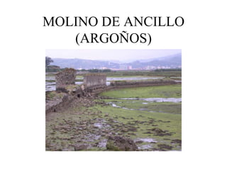 MOLINO DE ANCILLO
   (ARGOÑOS)
 
