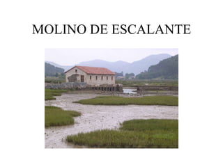 MOLINO DE ESCALANTE
 