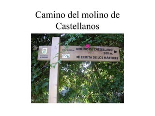 Camino del molino de
    Castellanos
 