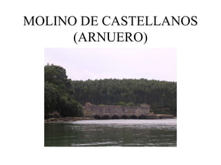 MOLINO DE CASTELLANOS
      (ARNUERO)
 