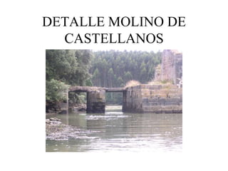 DETALLE MOLINO DE
  CASTELLANOS
 