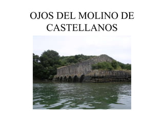 OJOS DEL MOLINO DE
   CASTELLANOS
 
