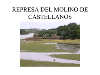 REPRESA DEL MOLINO DE
    CASTELLANOS
 