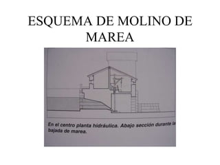 ESQUEMA DE MOLINO DE
      MAREA
 