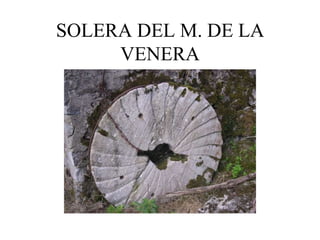 SOLERA DEL M. DE LA
     VENERA
 