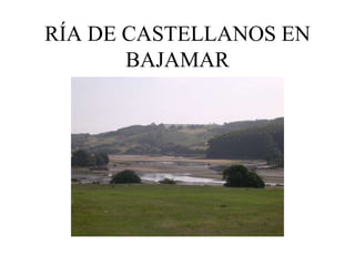 RÍA DE CASTELLANOS EN
       BAJAMAR
 