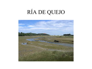 RÍA DE QUEJO
 