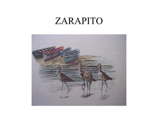 ZARAPITO
 