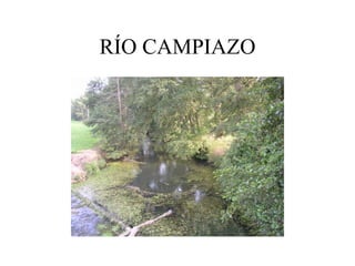 RÍO CAMPIAZO
 