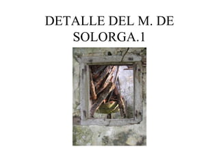 DETALLE DEL M. DE
   SOLORGA.1
 