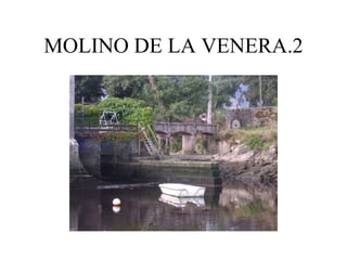 MOLINO DE LA VENERA.2
 