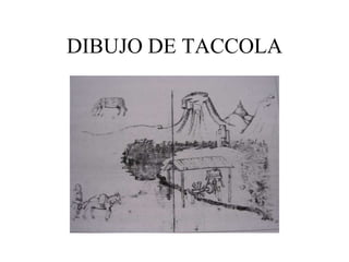 DIBUJO DE TACCOLA
 