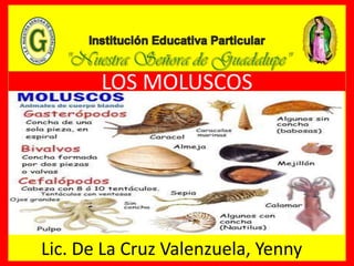 LOS MOLUSCOS
Lic. De La Cruz Valenzuela, Yenny
 