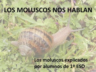 LOS MOLUSCOS NOS HABLAN




       Los moluscos explicados
       por alumnos de 1º ESO
 