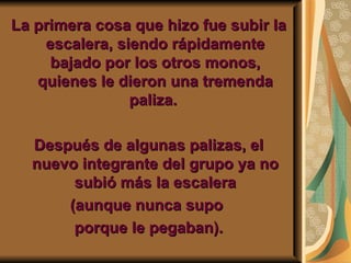 La primera cosa que hizo fue subir la escalera, siendo rápidamente bajado por los otros monos, quienes le dieron una tremenda paliza.  Después de algunas palizas, el nuevo integrante del grupo ya no subió más la escalera (aunque nunca supo  porque le pegaban). 