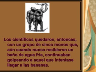 Los científicos quedaron, entonces, con un grupo de cinco monos que, aún cuando nunca recibieron un baño de agua fría, continuaban golpeando a aquel que intentase llegar a las bananas. 