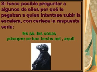 Si fuese posible preguntar a algunos de ellos por qué le pegaban a quien intentase subir la escalera, con certeza la respuesta sería: No sé, las cosas ¡siempre se han hecho así , aquí!  