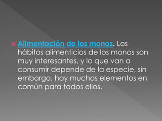  Alimentación de los monos. Los
hábitos alimenticios de los monos son
muy interesantes, y lo que van a
consumir depende de la especie, sin
embargo, hay muchos elementos en
común para todos ellos.
 