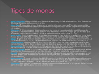  Mono capuchino. El mono capuchino pertenece a la categoría del Nuevo Mundo. Sólo viven en los
árboles y sólo están activos durante el día.
 Mono Azul. El mono azul es muy singular en su apariencia, pero no es azul. También es conocido
como el mono diademed. Esta especie pertenece al viejo mundo y existen un par de subespecies
conocidas.
 Tití Común. El tití común es un tipo muy diferente de mono. A menudo se le llama el tití orejas de
algodón. Su apariencia física única los hace muy diferentes, tienen un cuerpo gris y a medida que
envejecen desarrollan tobas blancas que se extienden desde los lados de la cara.
 Mono ardilla. El mono ardilla toma su nombre de su aspecto, muy similar a la ardilla. Son parte de los
monos del Nuevo Mundo y se encuentran viviendo en las regiones tropicales de América del Sur.
 Gibón. El gibón es a menudo descrito como un mono, aunque algunos los clasifican como simios. La
controversia continúa por lo que puede encontrar información sobre ellos en ambas categorías.
 Tití león dorado . El tití león dorado es un mono pequeño y muy atractivo que encaja en el Nuevo
Mundo. Han sido parte de leyendas e historias, debido a que su color dorado brilla en la luz del sol.
 Mono aullador. El mono aullador es un tipo grande de mono del Nuevo Mundo. Su nombre proviene
del hecho de que pueden aullar más fuerte que cualquier otro tipo de monos.
 Macaco japonés. El macaco japonés también llamado mono de nieve pertenece a la especies del
Viejo Mundo. Dos subespecies se han identificado y tienen un papel vital en la religión budista.
 Mandril. Muchas personas confunden al mandril con el babuino pero son diferentes aunque, se ven
similares entre sí. Son miembros de los monos del Viejo Mundo, y de hecho, una vez se clasificaron
como babuinos.
 Mono narigudo. El mono narigudo, también llamado mono de Monyet Belanda, que significa mono
de narigudo. Pertenece a la clasificación del Viejo Mundo. En la cultura egipcia fueron adorados
como un animal muy singular que se creía era especial para los dioses.
 Tití pigmeo. Hay muchos nombres con los que puedes escuchar nombrar al tití pigmeo. Se les conoce
como mono de bolsillo, pequeño león y mono enan
 