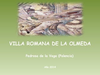VILLA ROMANA DE LA OLMEDA
Pedrosa de la Vega (Palencia)
Año 2014
 