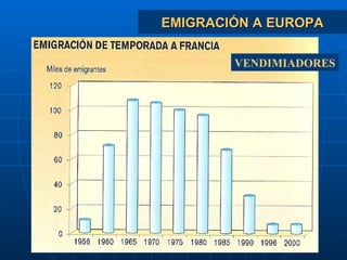 EMIGRACIÓN A EUROPA VENDIMIADORES 