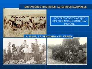 MIGRACIONES INTERIORES: AGRARIO/ESTACIONALES LOS TRES COSECHAS QUE MÁS POBLACIÓN/CUADRILLAS MOVÍAN. LA SIEGA, LA VENDIMIA Y EL VAREO 