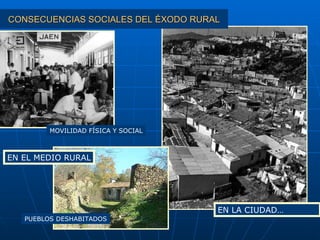 CONSECUENCIAS SOCIALES DEL ÉXODO RURAL EN LA CIUDAD… MOVILIDAD FÍSICA Y SOCIAL PUEBLOS DESHABITADOS EN EL MEDIO RURAL 