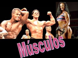 Músculos 