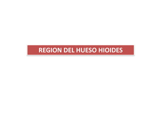 REGION DEL HUESO HIOIDES
 