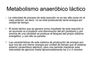 Metabolismo anaeróbico láctico
- La velocidad de proceso de esta reacción no es tan alta como en el
caso anterior; es decir, no se está produciendo tanta energía por
unidad de tiempo.
• El ácido láctico que se genera como resultado de esta reacción si
se acumula va a producir una disminución del pH (acidosis) y por
encima de una cantidad se produce el bloqueo del propio sistema
energético, y con ello su parada.
• Las características de este sistema de producción de energía son
que nos da una menor energía por unidad de tiempo que el sistema
anterior (anaeróbico aláctico), pero nos permite mantener esta
intensidad de ejercicio hasta aproximadamente los 2 o 3 minutos
 