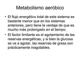 Metabolismo aeróbico
• El flujo energético total de este sistema es
bastante menor que en los sistemas
anteriores, pero tiene la ventaja de que es
mucho más prolongado en el tiempo.
• El factor limitante es el agotamiento de las
reservas energéticas, y si bien la glucosa
se va a agotar, las reservas de grasa son
prácticamente inagotables.
 
