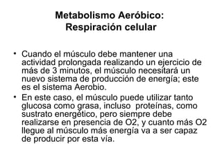 Metabolismo Aeróbico:
Respiración celular
• Cuando el músculo debe mantener una
actividad prolongada realizando un ejercicio de
más de 3 minutos, el músculo necesitará un
nuevo sistema de producción de energía; este
es el sistema Aerobio.
• En este caso, el músculo puede utilizar tanto
glucosa como grasa, incluso proteínas, como
sustrato energético, pero siempre debe
realizarse en presencia de O2, y cuanto más O2
llegue al músculo más energía va a ser capaz
de producir por esta vía.
 