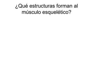 ¿Qué estructuras forman al
músculo esquelético?
 