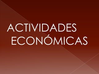 ACTIVIDADES ECONÓMICAS