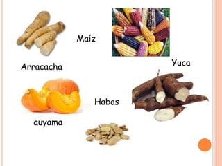 Arracacha
Maíz
Yuca
auyama
Habas
 