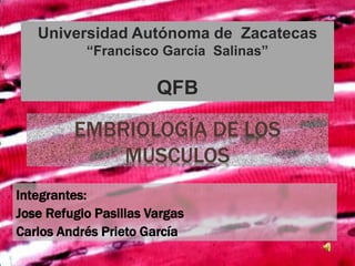 EMBRIOLOGÍA DE LOS
MÚSCULOS
Integrantes:
Jose Refugio Pasillas Vargas
Carlos Andrés Prieto García
Universidad Autónoma de Zacatecas
“Francisco García Salinas”
QFB
 