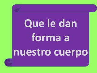 Que le dan
forma a
nuestro cuerpo
 