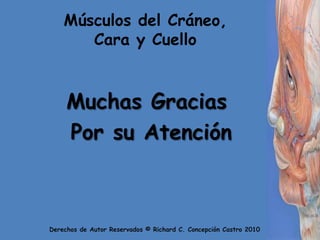 Músculos del Cráneo, Cara y CuelloMuchas Gracias Por su Atención