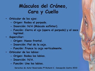 Músculos del Cráneo, Cara y CuelloOrbicular de los ojos:Origen: Rodea el parpado.Inserción: N/A (Músculo esfínter).Función: Cierra el ojo (opera el parpado) y el saco lagrimal.Superciliar:Origen: Hueso frontal.Inserción: Piel de la ceja.Función: Frunce la ceja verticalmente.Orbicular de los labios:Origen: Rodea los labios.Inserción: N/A.Función: Une los labios.