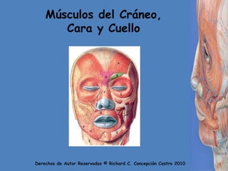 Músculos del Cráneo, Cara y Cuello