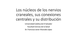 Los núcleos de los nervios
craneales, sus conexiones
centrales y su distribución
Universidad Católica de El Salvador
Facultad Ciencias de la Salud
Dr. Francisco Javier Alvarado López
 